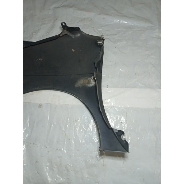 Paralama Dianteiro Direito Renault Scenic 2005