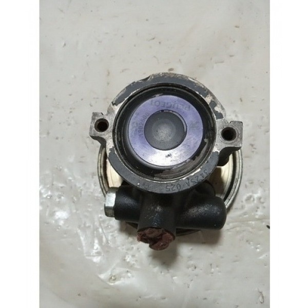 Bomba De Direção Hidráulica Peugeot 206  1.0 2001