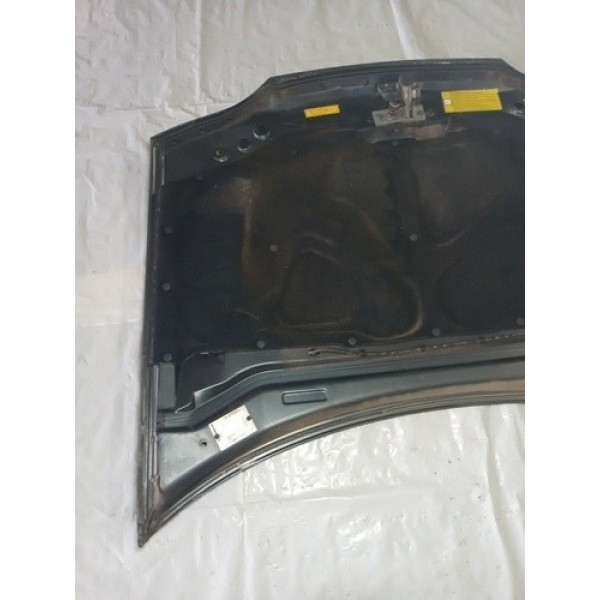 Capo Fiat Palio Siena Dianteiro 1999 Usado