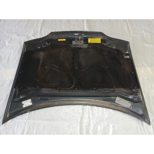 Capo Fiat Palio Siena Dianteiro 1999 Usado