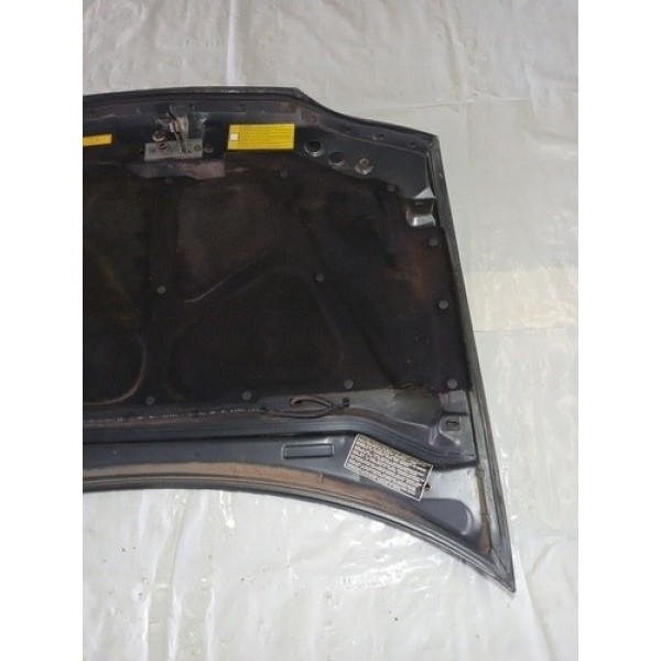 Capo Fiat Palio Siena Dianteiro 1999 Usado