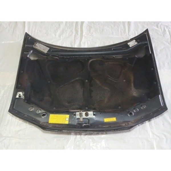 Capo Fiat Palio Siena Dianteiro 1999 Usado