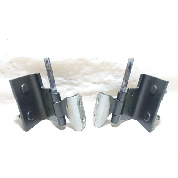 Dobradiça Tampa Traseira Peugeot 206/207 Sw 2010 Par