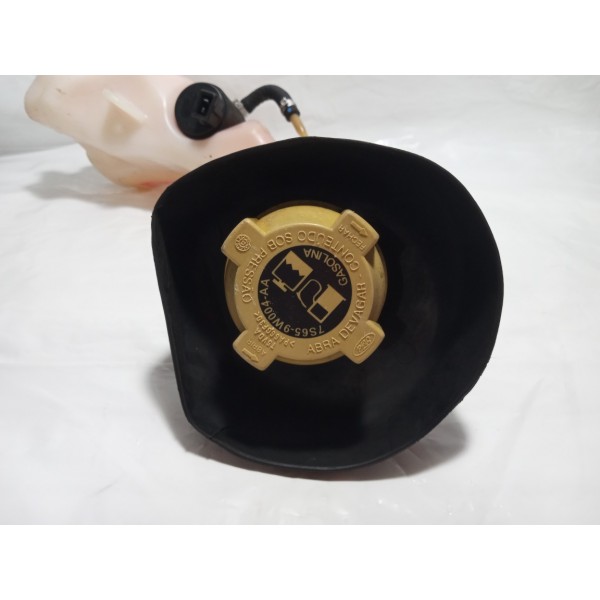 Reservatório Gasolina Partida Fria Ford Fiesta 2013