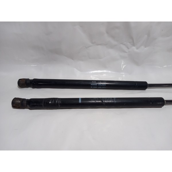 Amortecedor Tampa Traseira Vw Golf 2000 Par