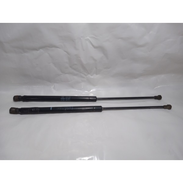 Amortecedor Tampa Traseira Vw Golf 2000 Par