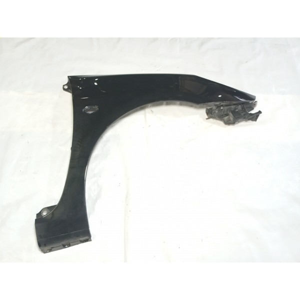 Paralama Dianteiro Dianteiro Peugeot 307 2010