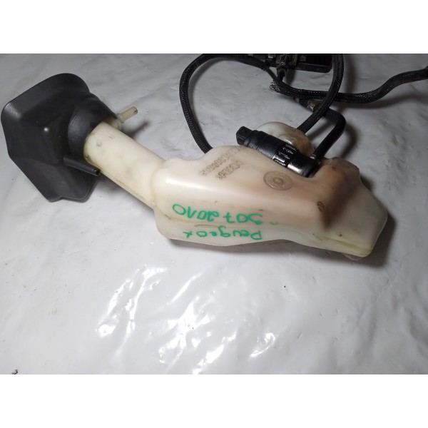 Reservatório Partida Fria Peugeot 307 2010