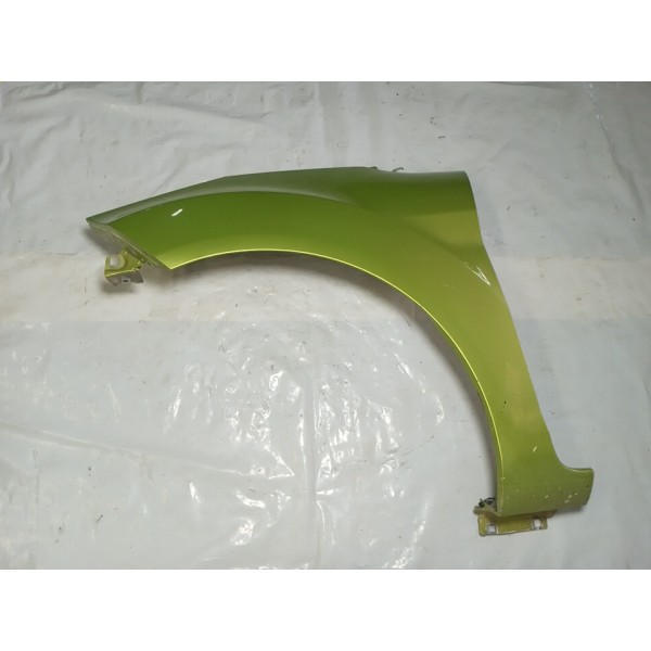 Paralama Lado Esquerdo Ford New Fiesta 2010 Usado