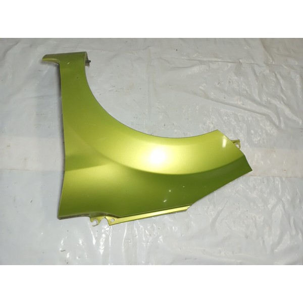 Paralama Lado Esquerdo Ford New Fiesta 2010 Usado