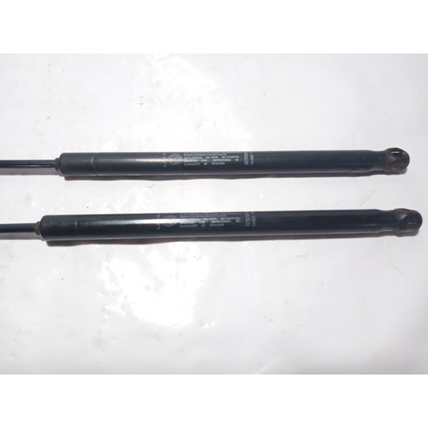 Amortecedor Tampa Traseira Fiat Stilo 2004 Par