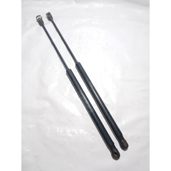 Amortecedor Tampa Traseira Fiat Stilo 2004 Par