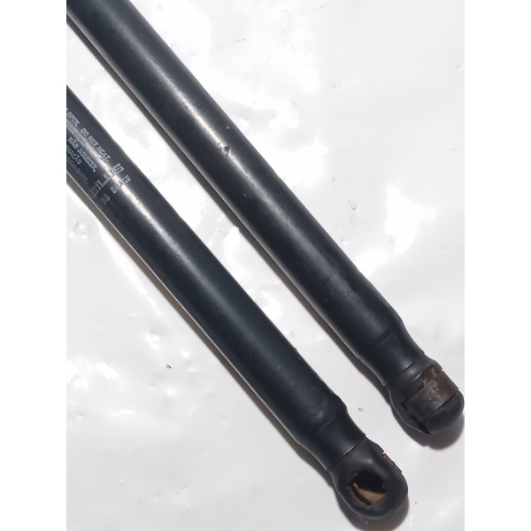 Amortecedor Tampa Traseira Fiat Stilo 2004 Par