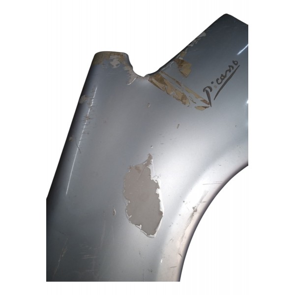 Paralama Citroen Picasso 2005 Esquerdo Detalhes Usado