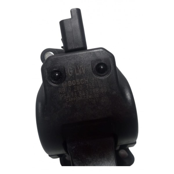 Pedal Acelerador Eletrônico Citroen C4 Pallas 2009