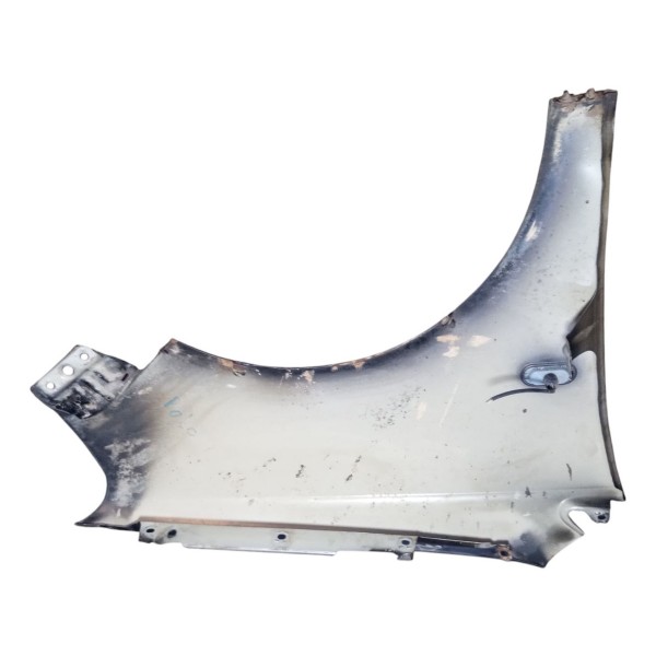 Paralama Dianteiro Esquerda Vw Polo 2004 Usado