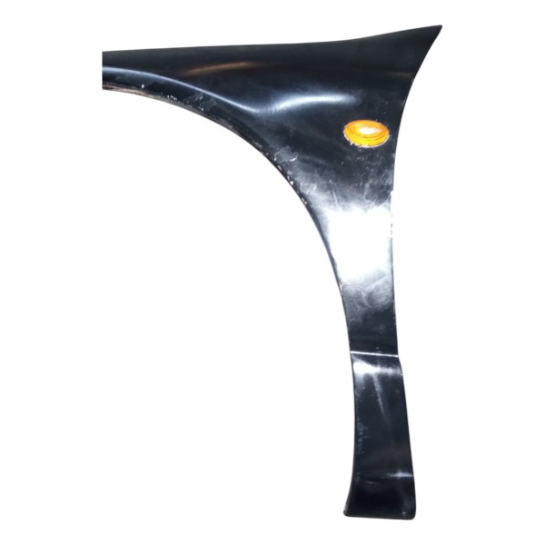 Paralama Dianteiro Esquerdo Chrysler 99 Usado