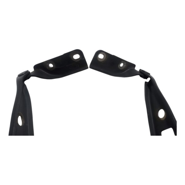 Dobradiça Capo Dianteiro Ford Ecosport 2009 Par