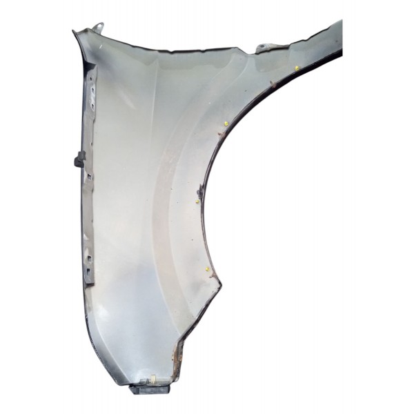 Paralama Dianteiro Da Ford Ecosport 2010 Direita Usado