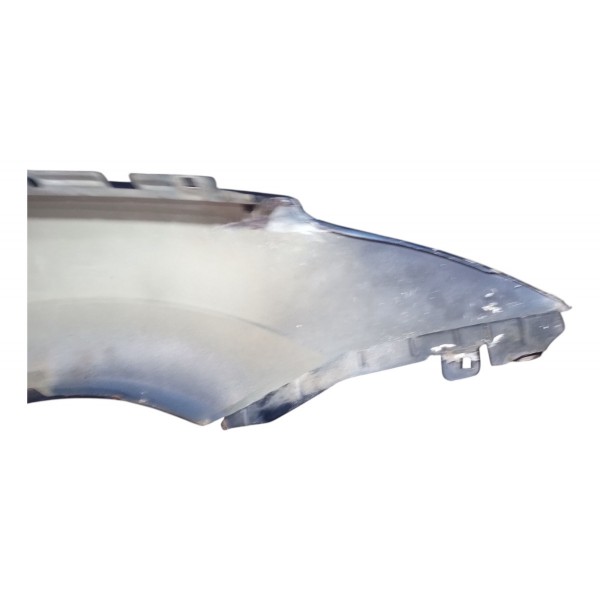 Paralama Dianteiro Lado Esquerdo Ford Focus 2005