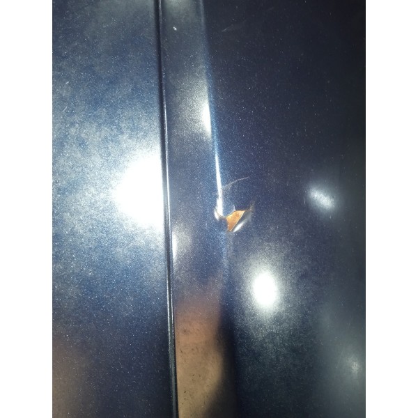 Capo Dianteiro Ford Focus 2006 Usado