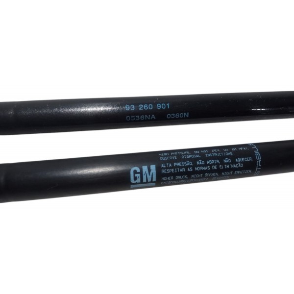 Amortecedor Tampa Traseira Gm Celta 2003 Par