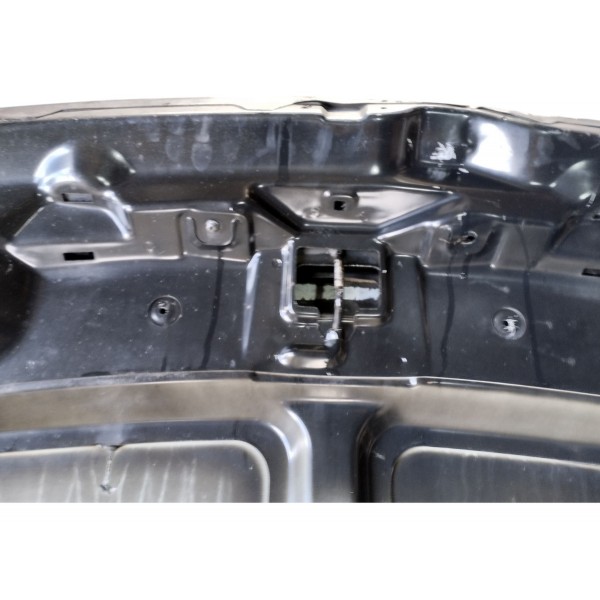 Capo Dianteiro Xsara Picasso 2004