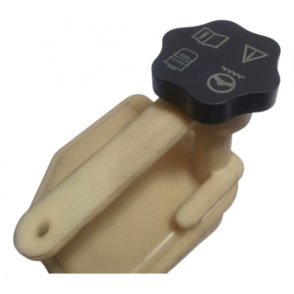 Reservatório Óleo Direção Hidráulica Ford Ecosport 2009