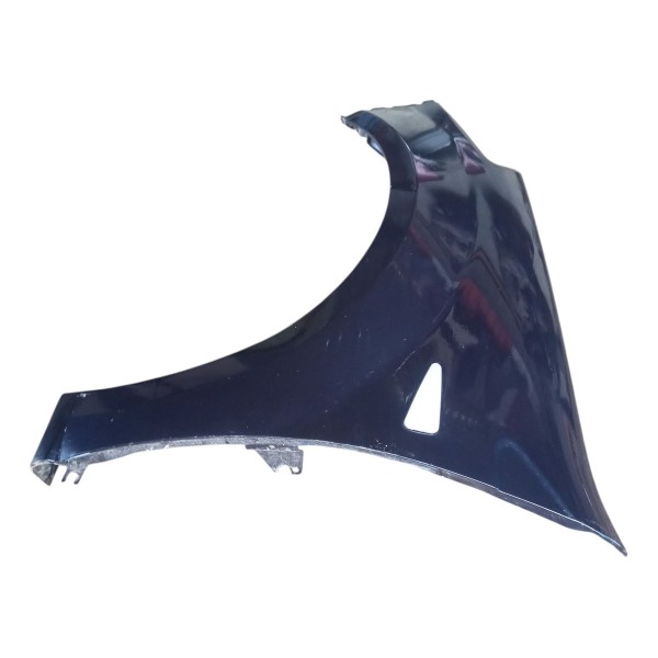 Paralama Lado Esquerdo Renault Sandero 2010