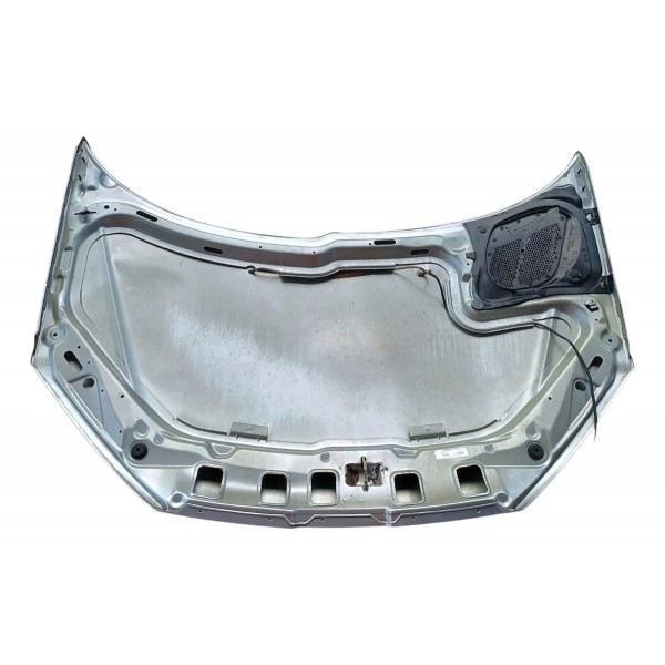 Capo Dianteiro Peugeot 206 C/ Detalhes 2005