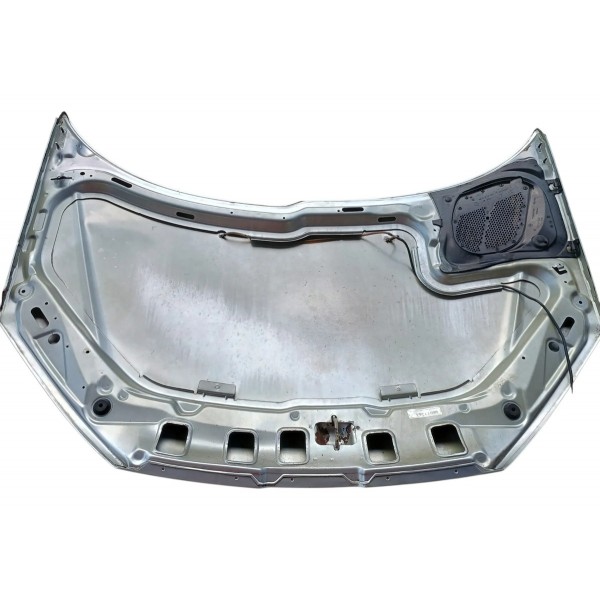Capo Dianteiro Peugeot 206 C/ Detalhes 2005