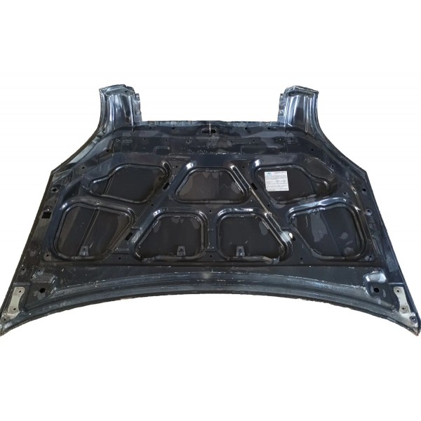 Capo Dianteiro Hyundai Tucson 2006