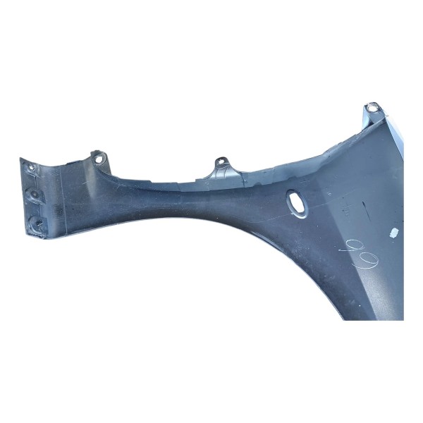 Paralama Lado Esquerdo Peugeot 307 2006