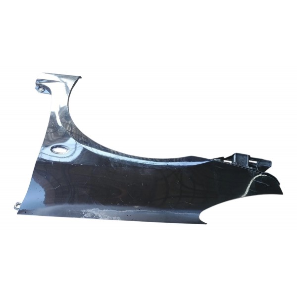 Paralama Lado Esquerdo Peugeot 307 2006