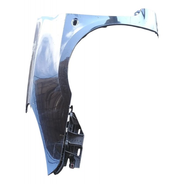 Paralama Lado Esquerdo Peugeot 307 2006