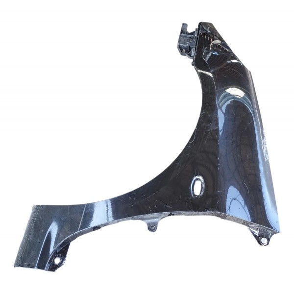 Paralama Lado Esquerdo Peugeot 307 2006